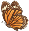 Butterfly 60px