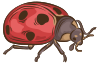 Ladybug 100px